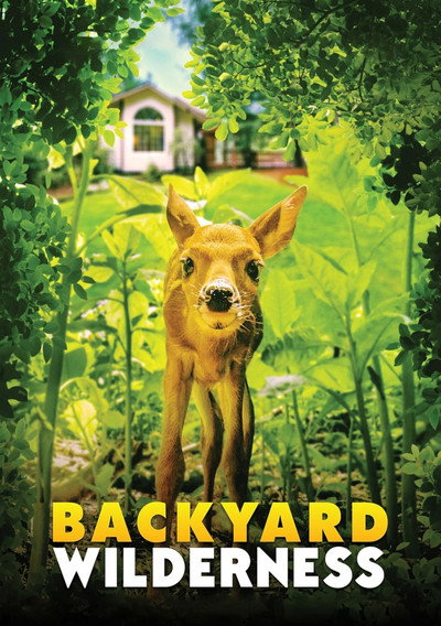 Póster de Backyard Wilderness