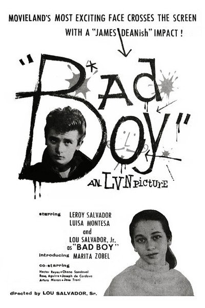 Póster de Bad Boy