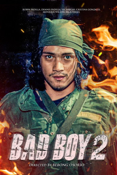 Póster de Bad Boy II