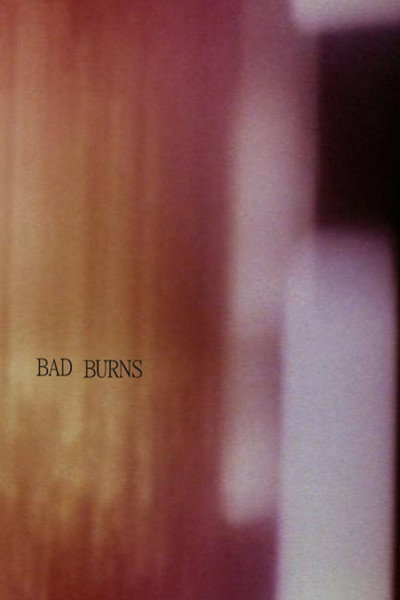 Póster de Bad Burns