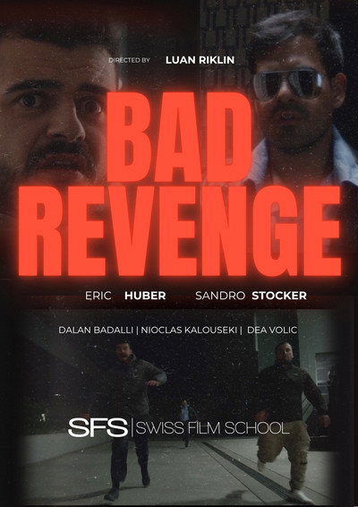 Póster de Bad Revenge