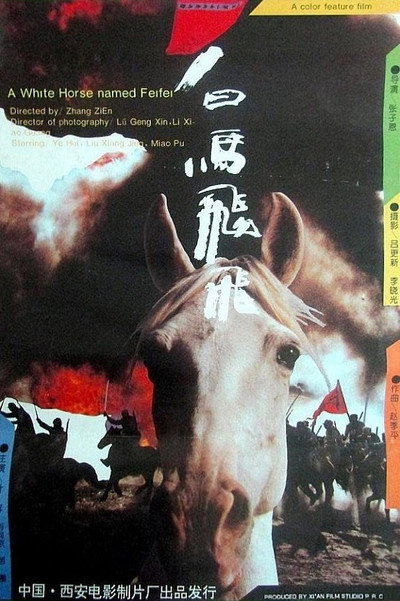 Póster de Bai ma Fei Fei