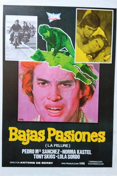 Póster de Bajas pasiones (La felure)