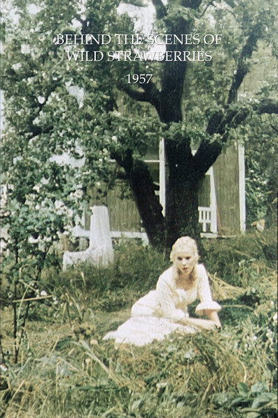 Póster de Bakomfilm Smultronstället