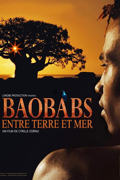 Póster de Baobabs between Land and Sea