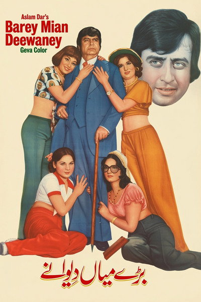 Póster de Baray Mian Divanay