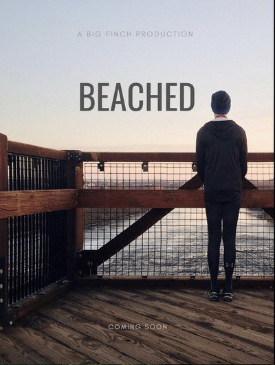 Póster de Beached