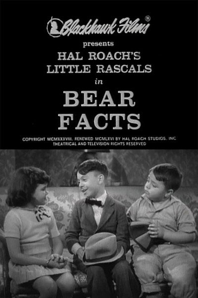Póster de Bear Facts
