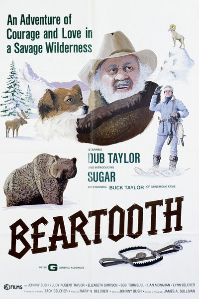 Póster de Beartooth