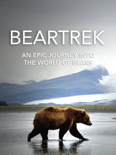 Póster de Beartrek