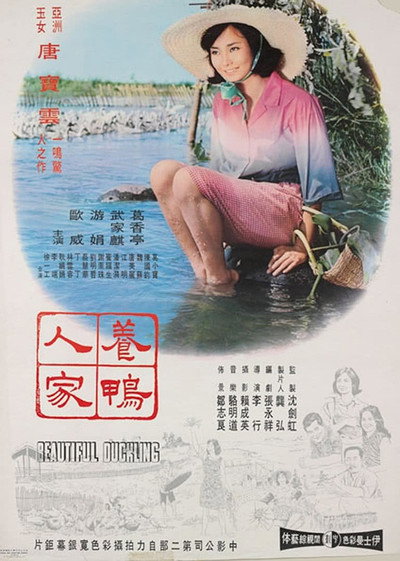 Póster de Beautiful Duckling