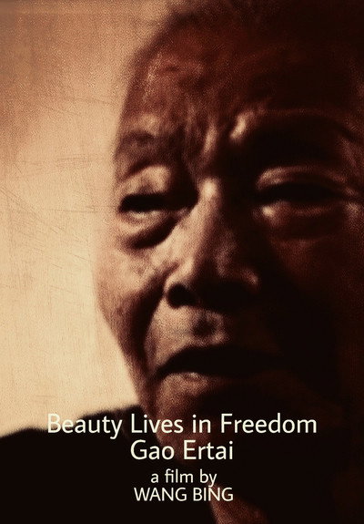 Póster de Beauty Lives in Freedom