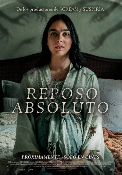 Póster de Bed Rest