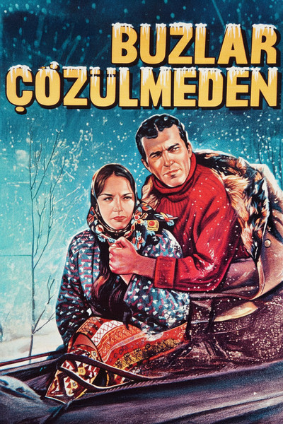 Póster de Before the Ice Thaws
