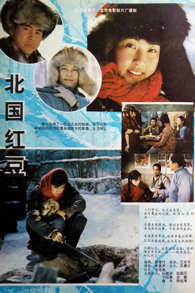 Póster de Bei guo hong dou