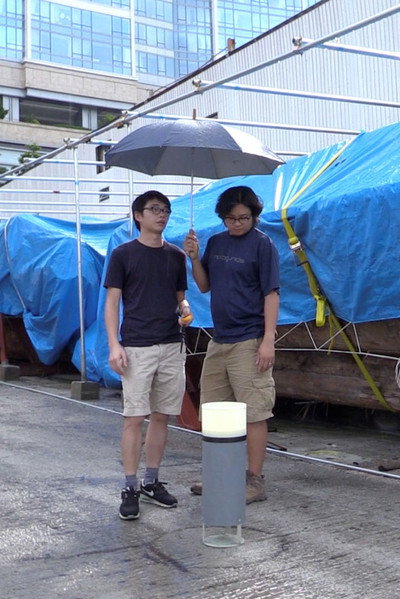 Póster de Being Rain: Representation and Will
