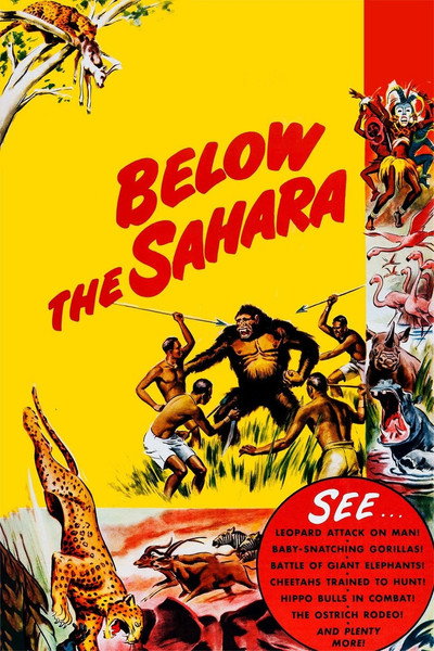 Póster de Below the Sahara