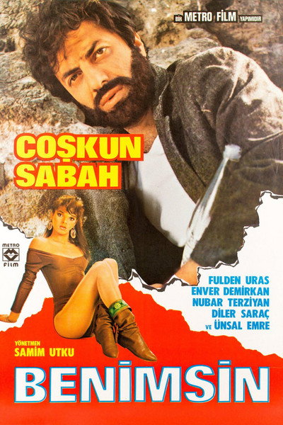 Póster de Benimsin