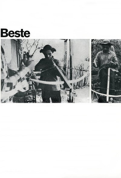 Póster de Beste