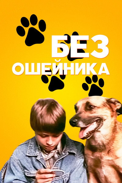 Póster de Bez osheynika