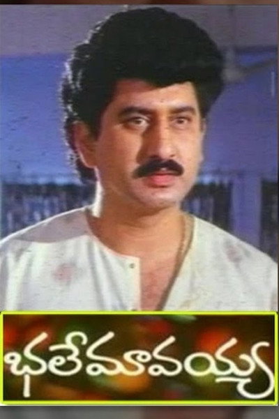 Póster de Bhale Mavayya
