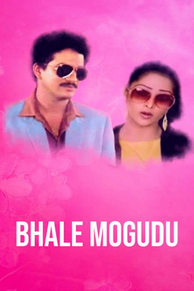 Póster de Bhale Mogudu