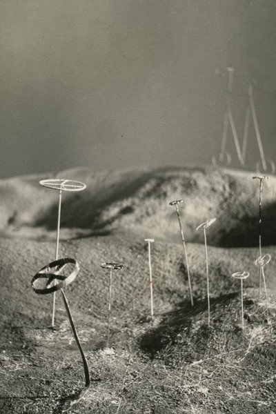 Póster de Bicycle in Dream