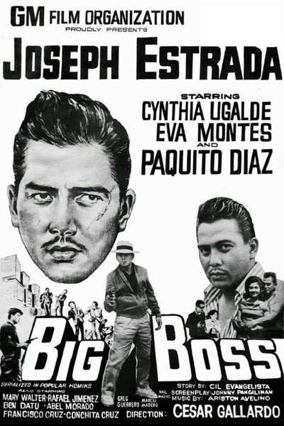 Póster de Big Boss