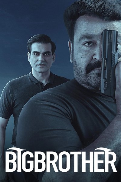 Póster de Big Brother