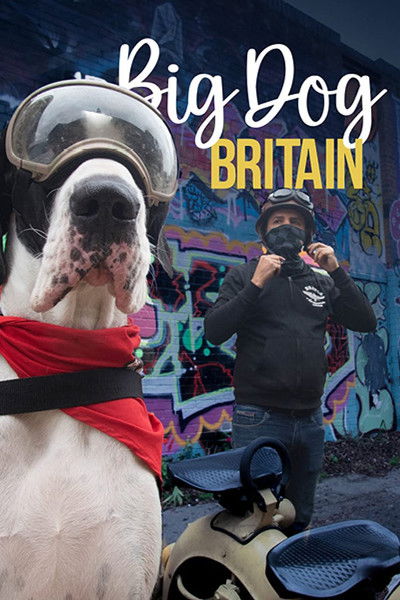 Póster de Big Dog Britain