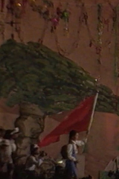 Póster de Big Tree County