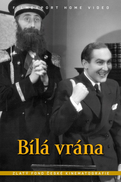Póster de Bílá vrána