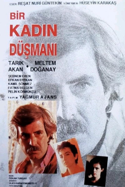 Póster de Bir Kadin Düsmani