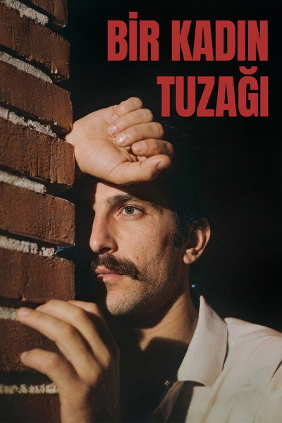 Póster de Bir Kadin Tuzagi