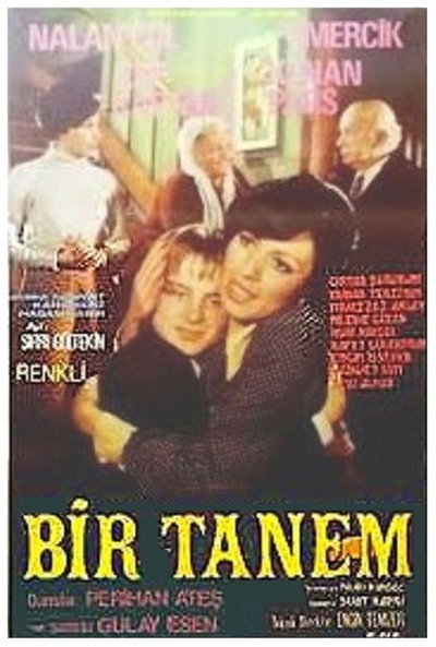 Póster de Bir Tanem