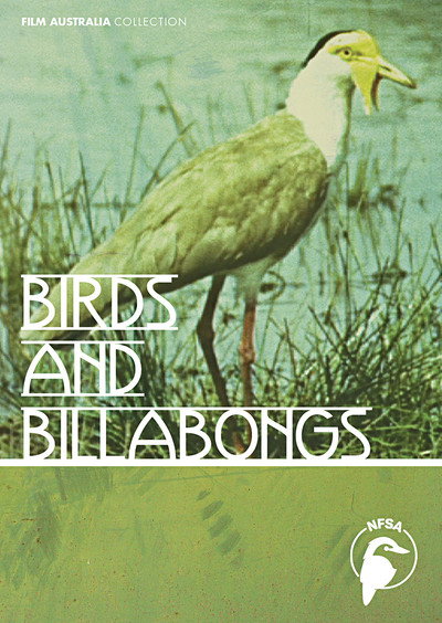 Póster de Birds and Billabongs