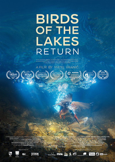 Póster de Birds of the Lakes Return
