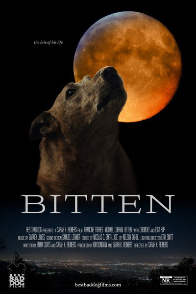 Póster de Bitten