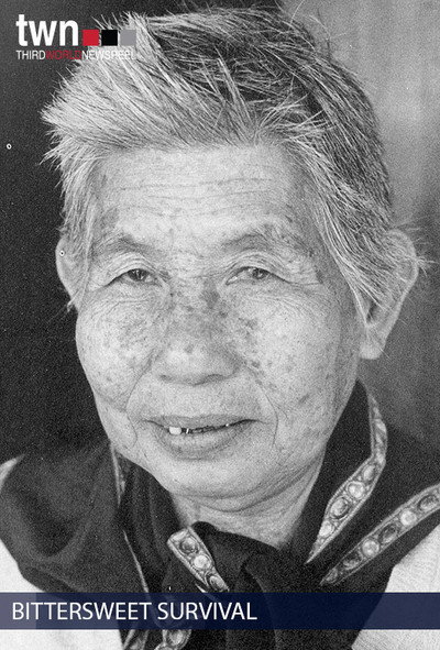 Póster de Bittersweet Survival: Southeast Asian Refugees in America