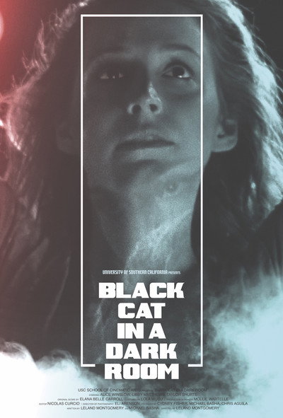 Póster de Black Cat in a Dark Room