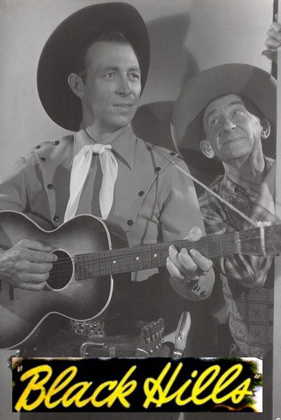 Póster de Black Hills