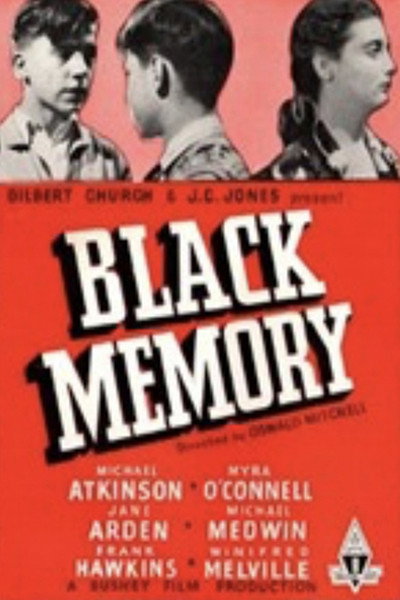 Póster de Black Memory