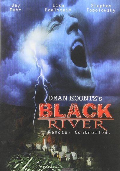 Póster de Black River