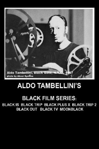 Póster de Black TV