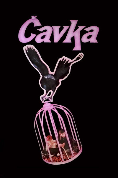 Póster de Blackbird