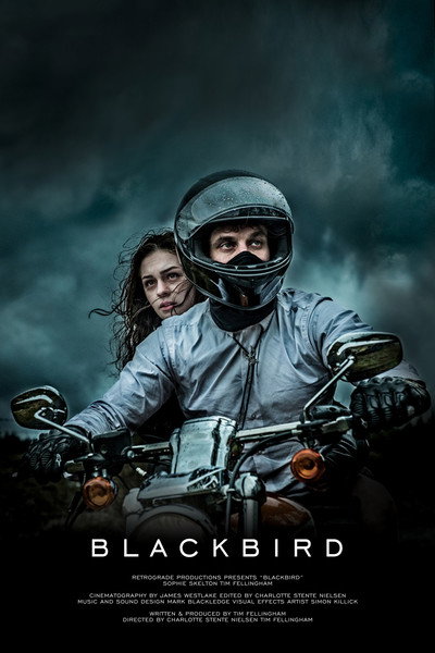 Póster de Blackbird