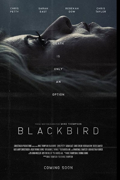 Póster de Blackbird