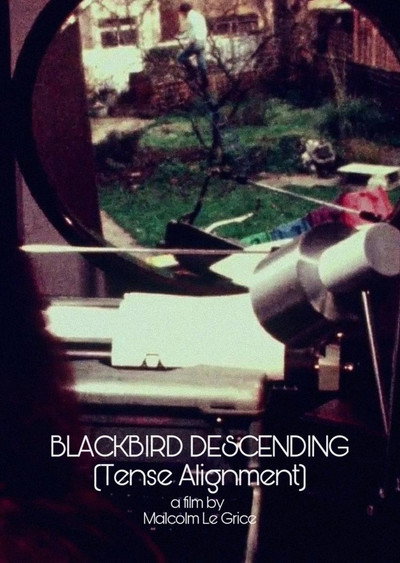 Póster de Blackbird Descending