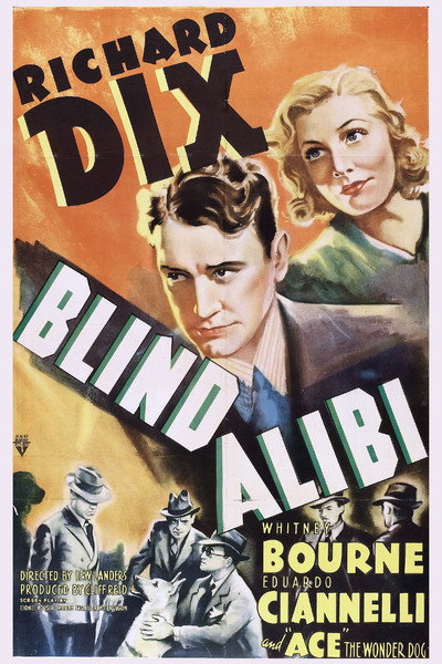 Póster de Blind Alibi