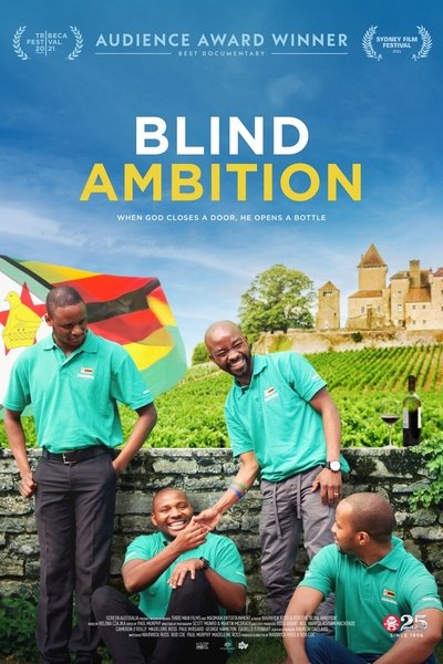 Póster de Blind Ambition